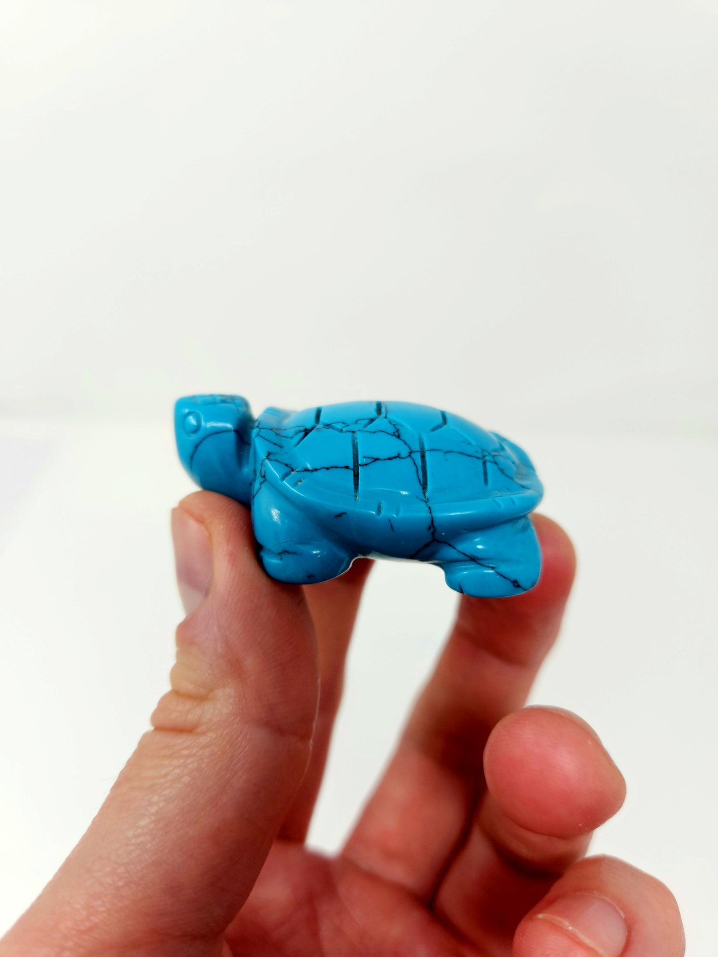 Blue Howlite Turtle