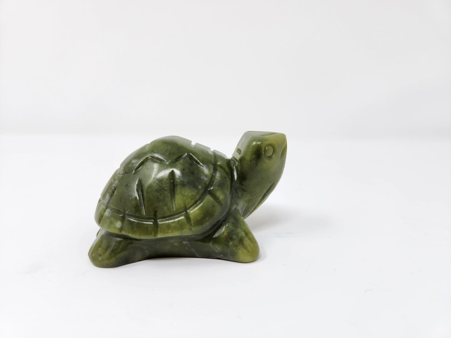Serpentine Turtle