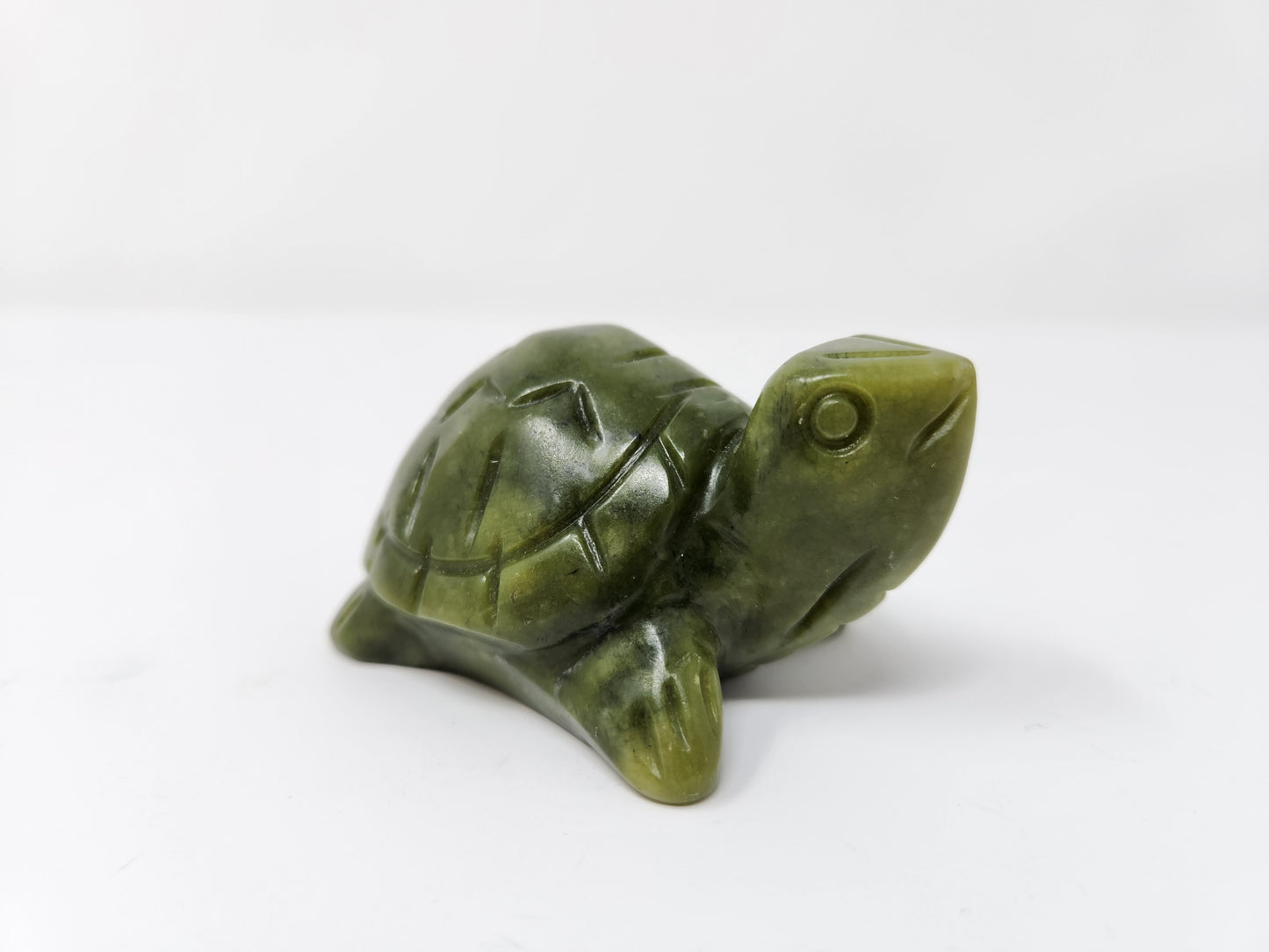 Serpentine Turtle