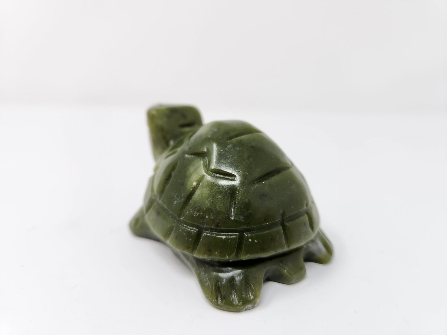 Serpentine Turtle