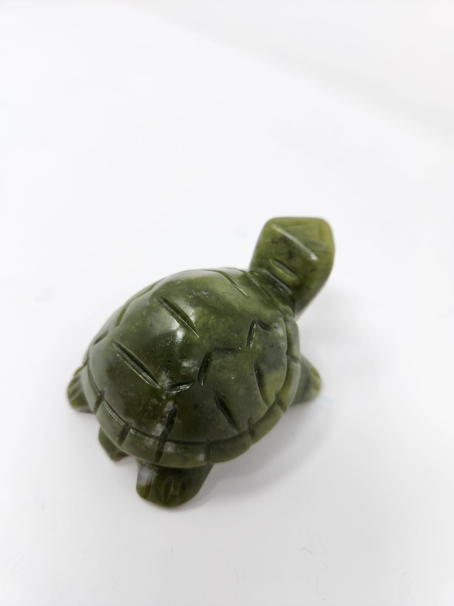 Serpentine Turtle