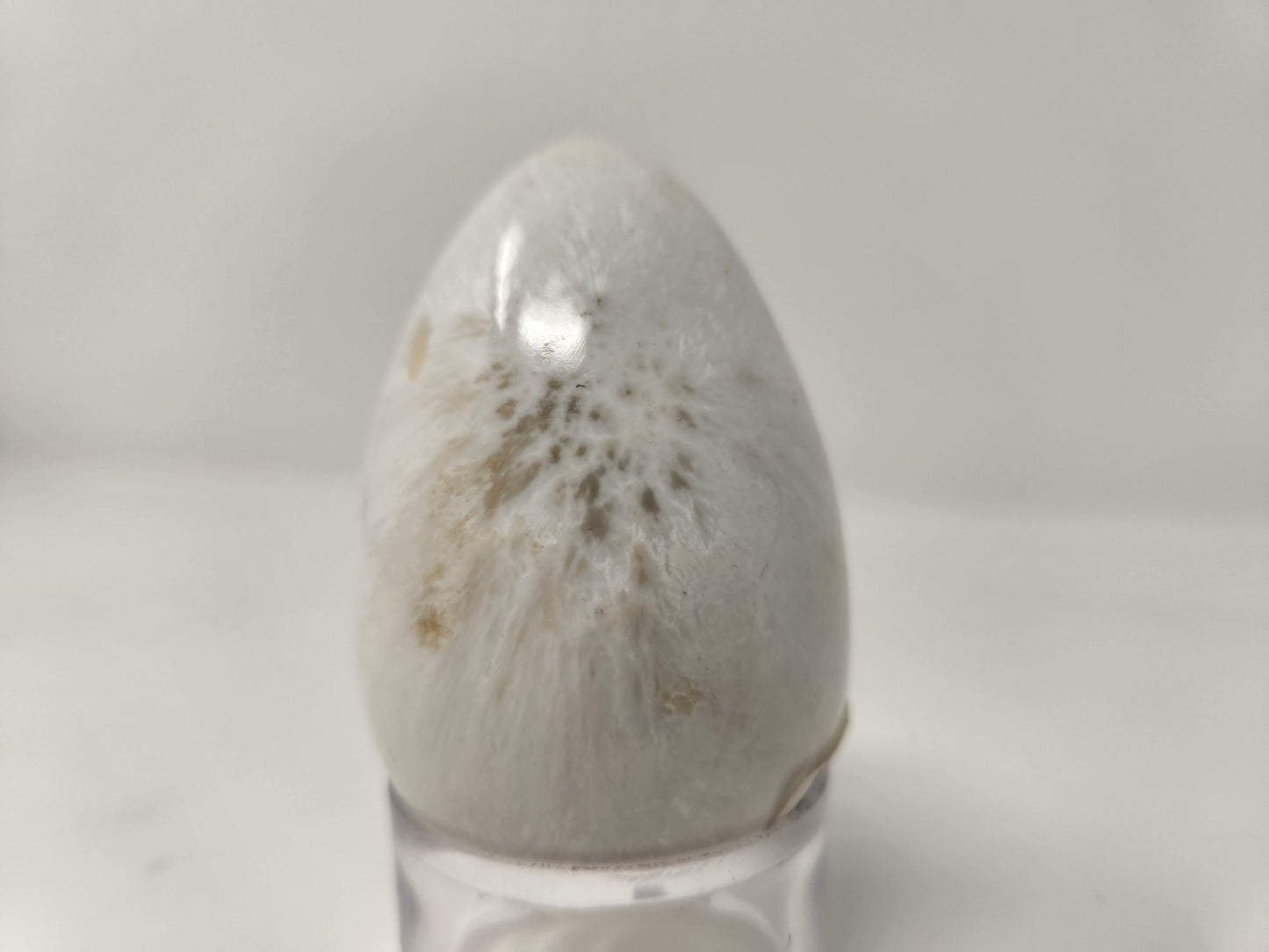 Scolecite Egg