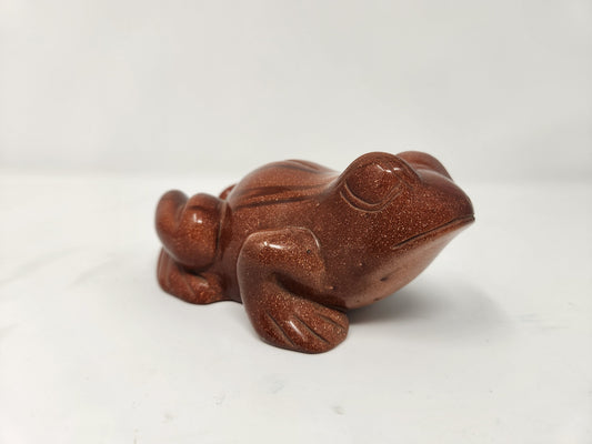 Large Goldstone Frog