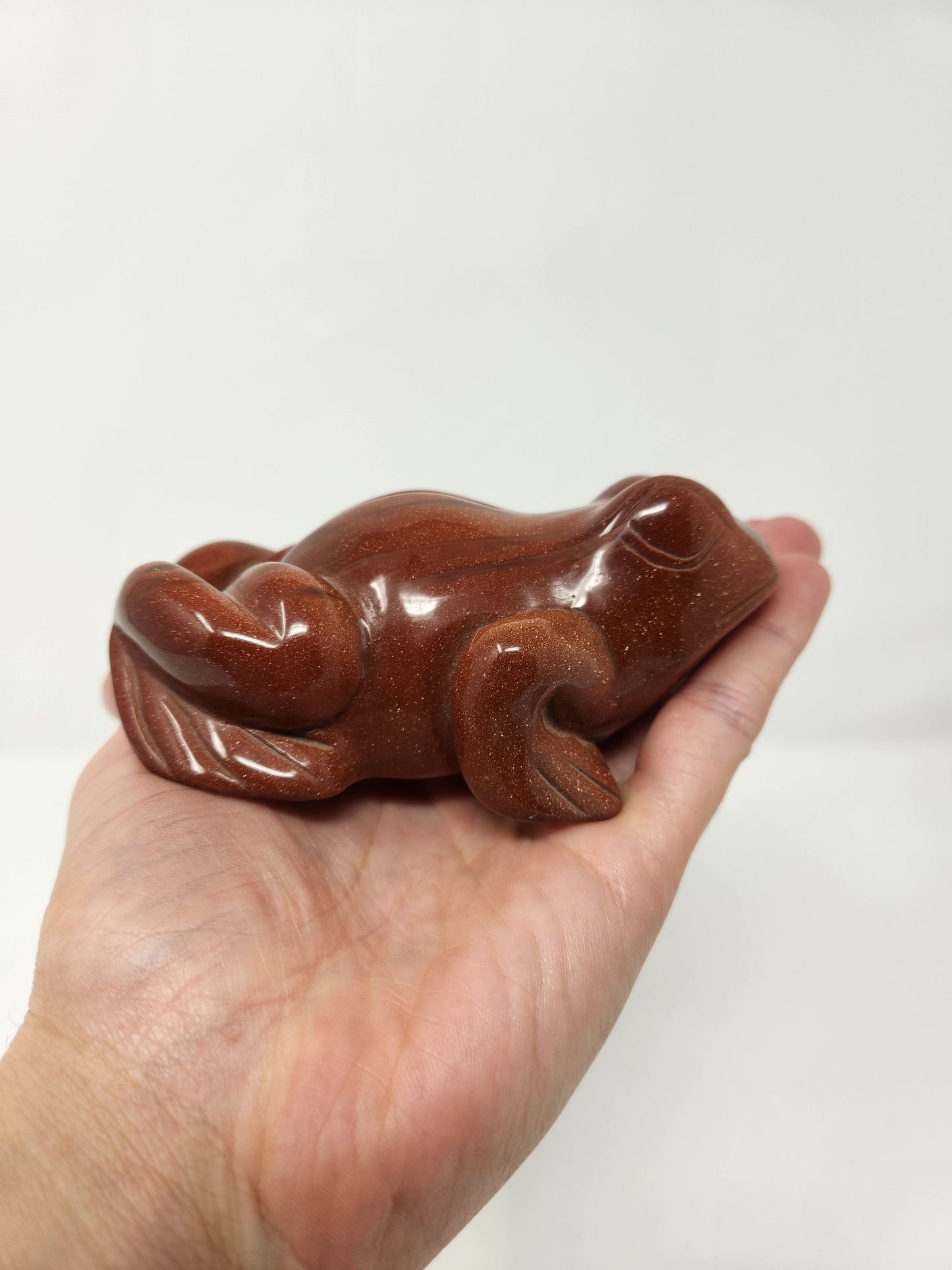 Large Goldstone Frog